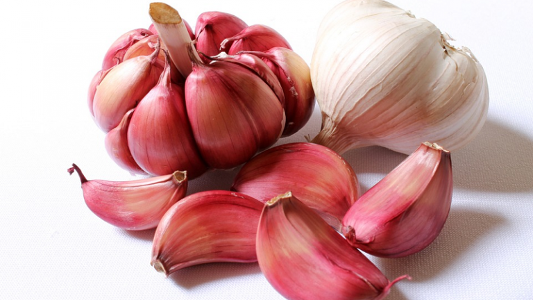 L’ail contre les boutons