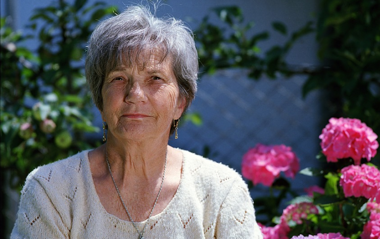 Visitez l’Île aux seniors
