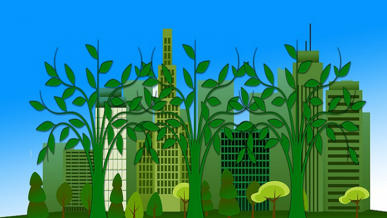 FFB : le numérique au service de l’environnement