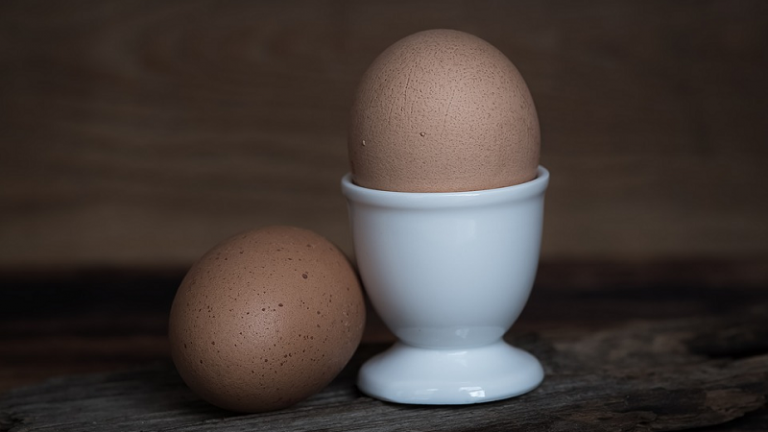 Pas de contagion au fripronil en France