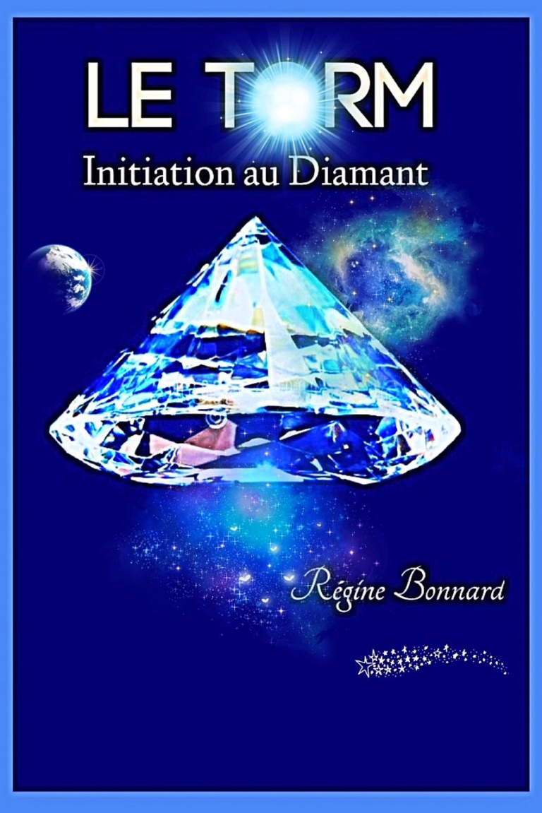 Le TORM : un roman d’exception