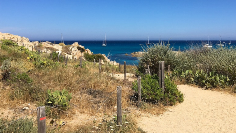 Sur la plage de Pampelonne, le tout Palace comme perspective