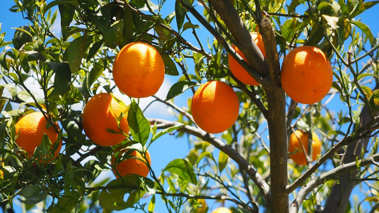 Eté 2019 : Avec quels accessoires prendre son bain de soleil en tout confort ?