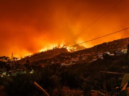 Un incendie de forêt.