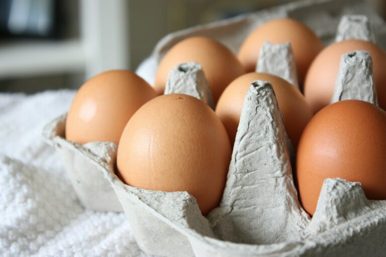 Œufs : hausse record de la consommation en France en 2023